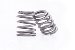 Valve Springs, 1.310" Beehive